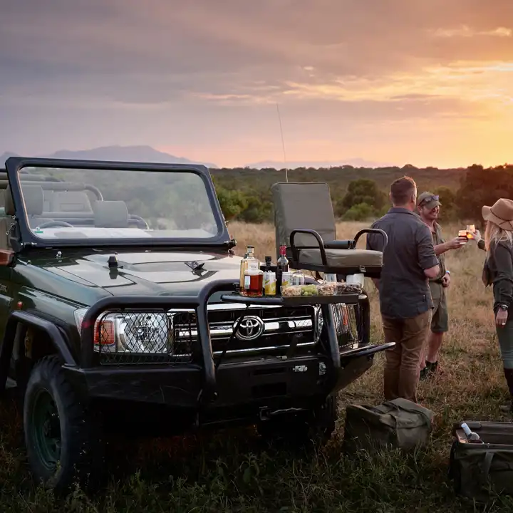 On Safari In Southern Africa HERO Royal Malewane
