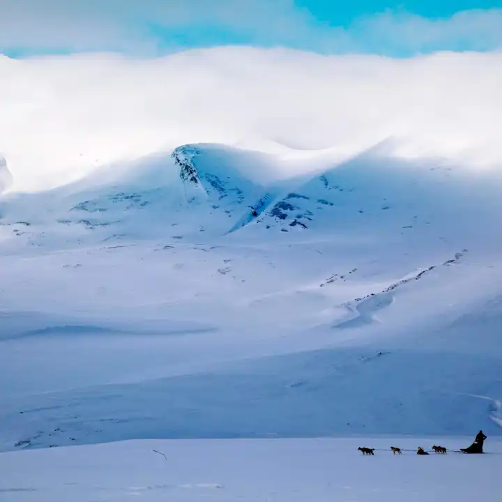 Dogsledding