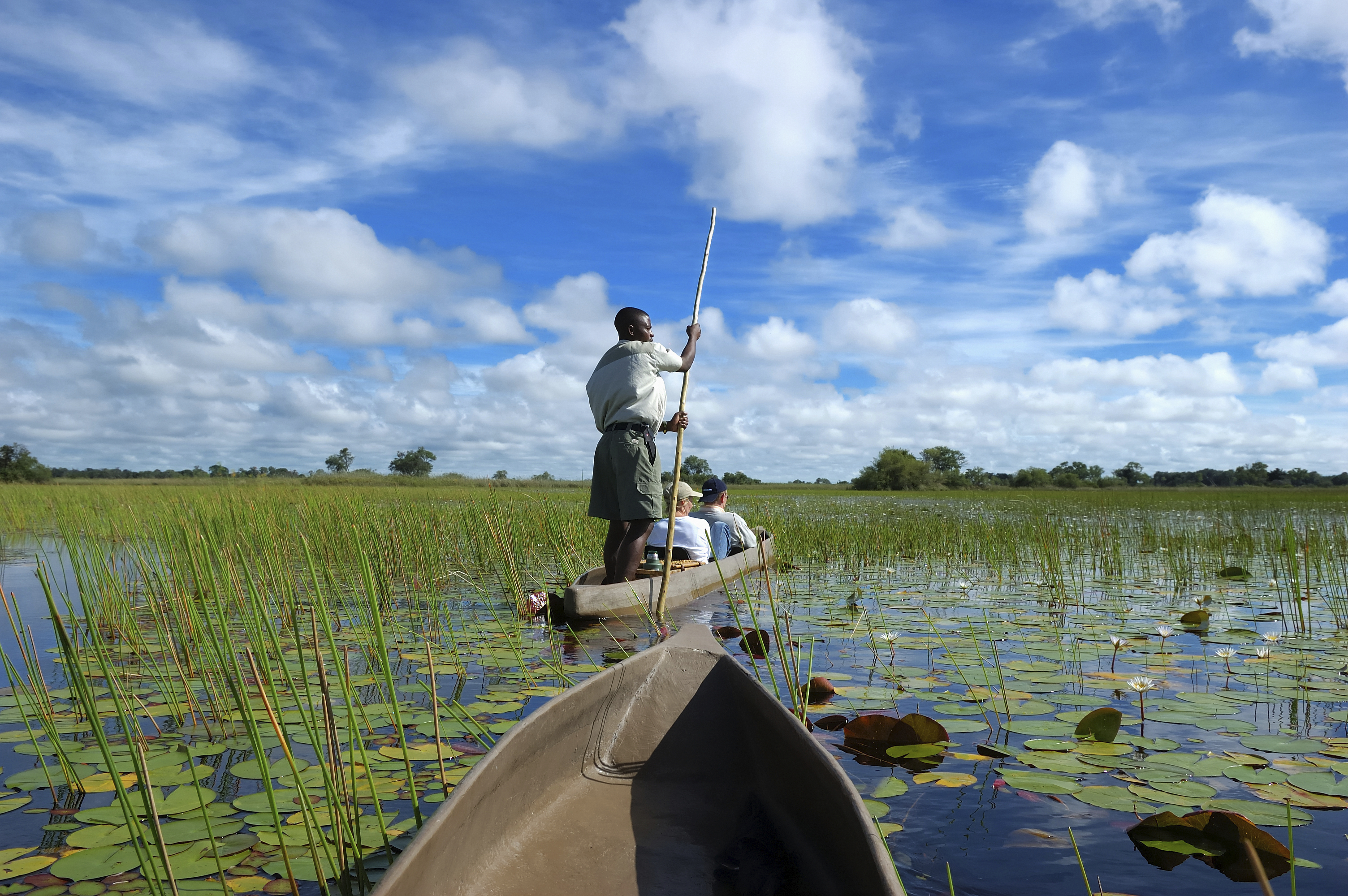 Botswana Mokoro Poler