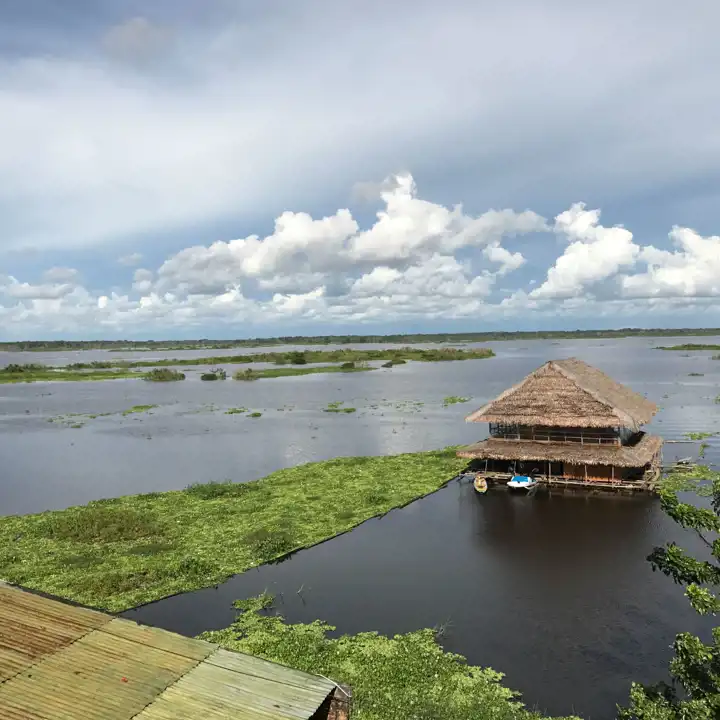 Best Peru Amazon Experiences Top 5 Experiences To Add To Your Itinerary Iquitos