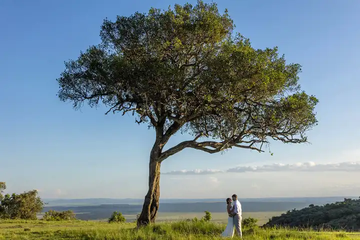 Luxury Kenya Honeymoon On Safari FEATURE Angamamara