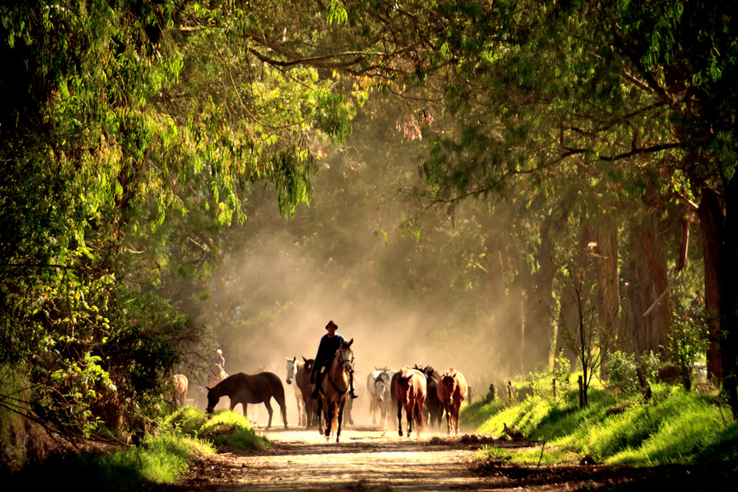 Ecuador Horseback Riding Tour HERO Hacienda Zuleta