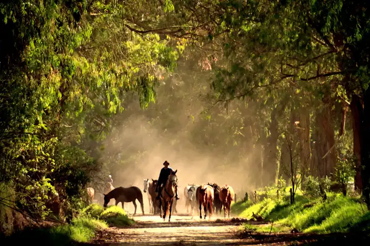 Ecuador Horseback Riding Tour HERO Hacienda Zuleta