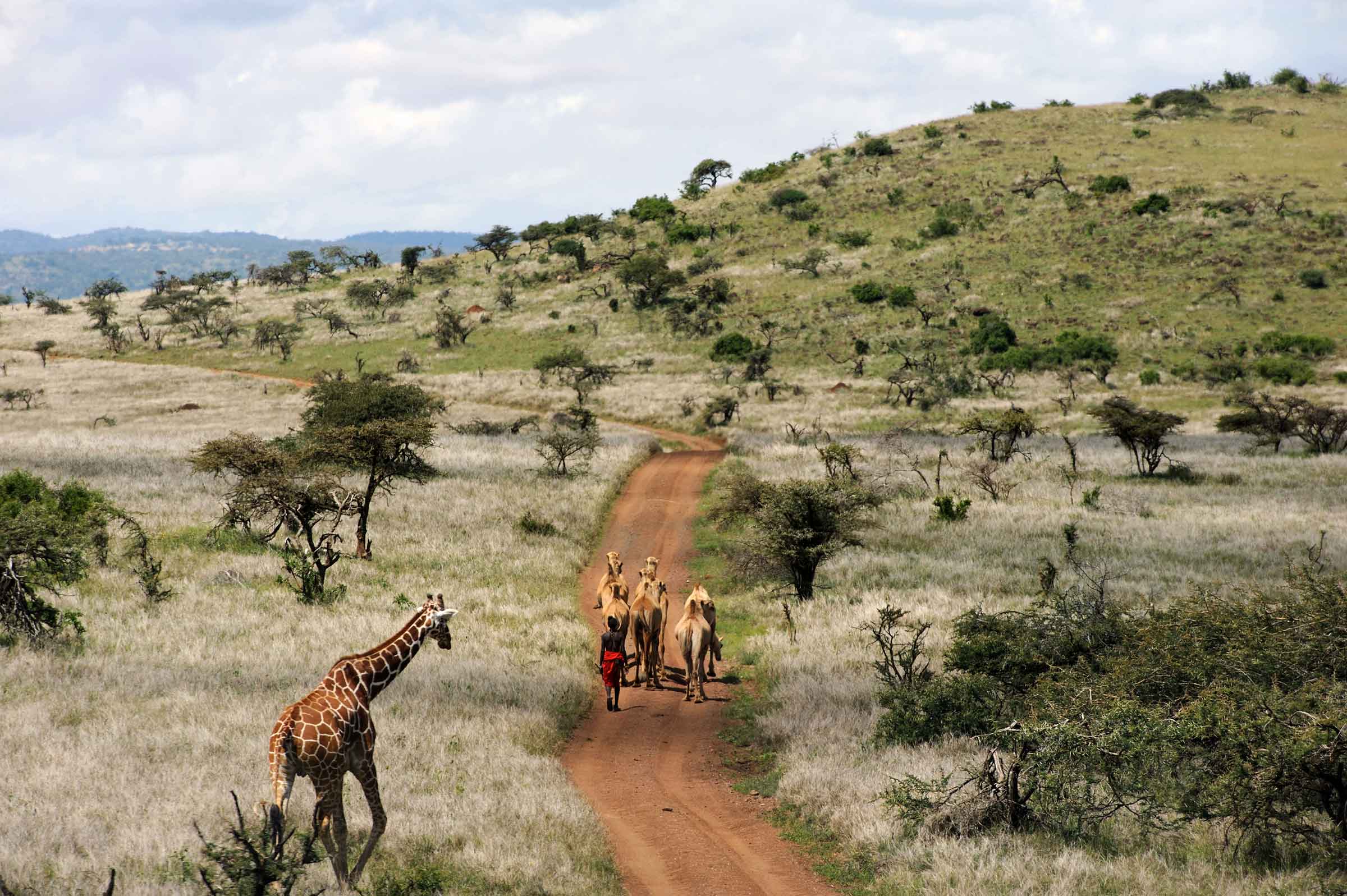 Laikipia Kenya luxury safari - Where to go on safari in Kenya