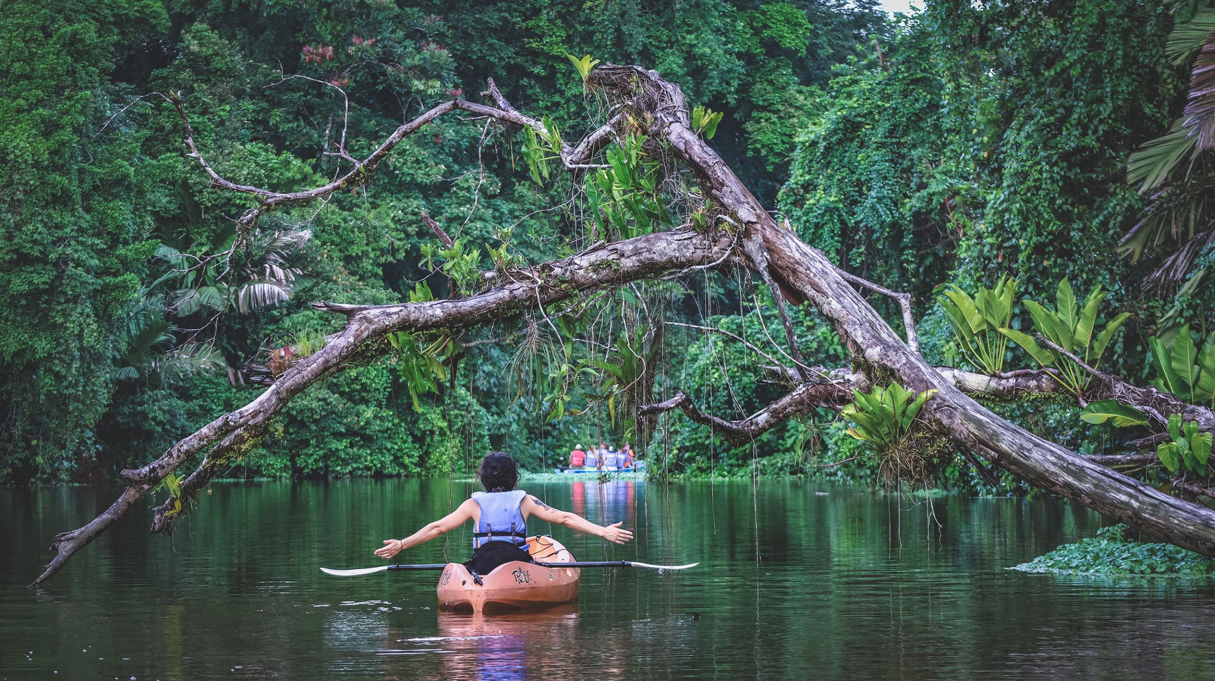 Best Luxury Costa Rica Tour - Costa Rica Coast-to-Coast - Travel to Tortuguero, Arenal & Marino Ballena National Park