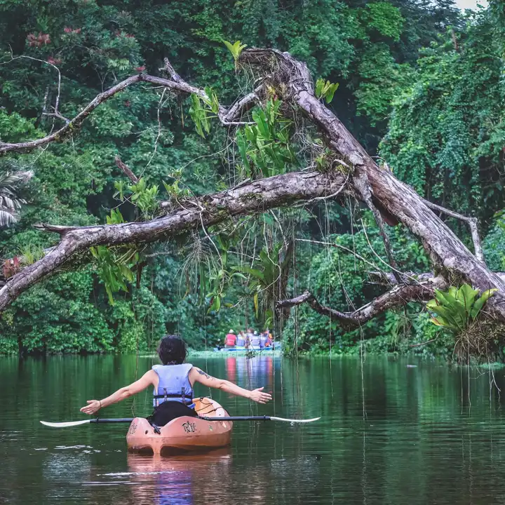 Best Luxury Costa Rica Tour Costa Rica Coast To Coast Travel To Tortuguero HERO