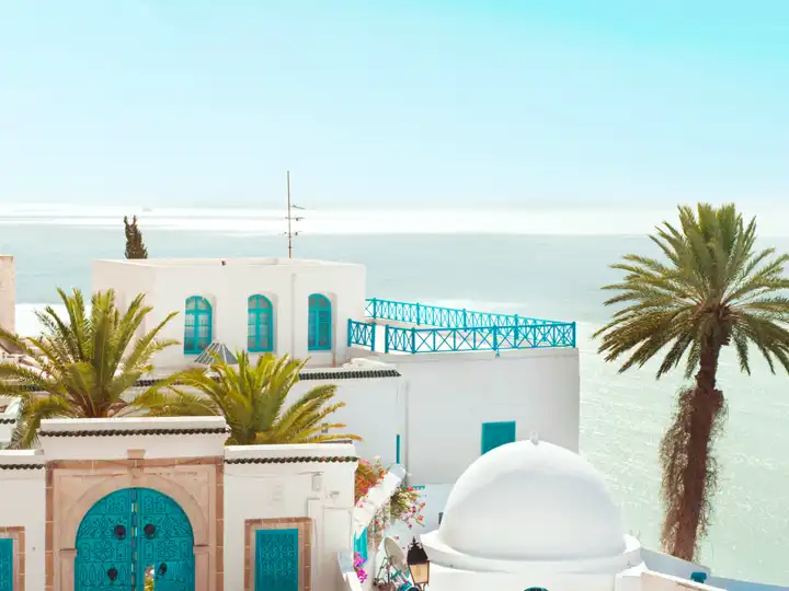 Website Tunisia Hero Image