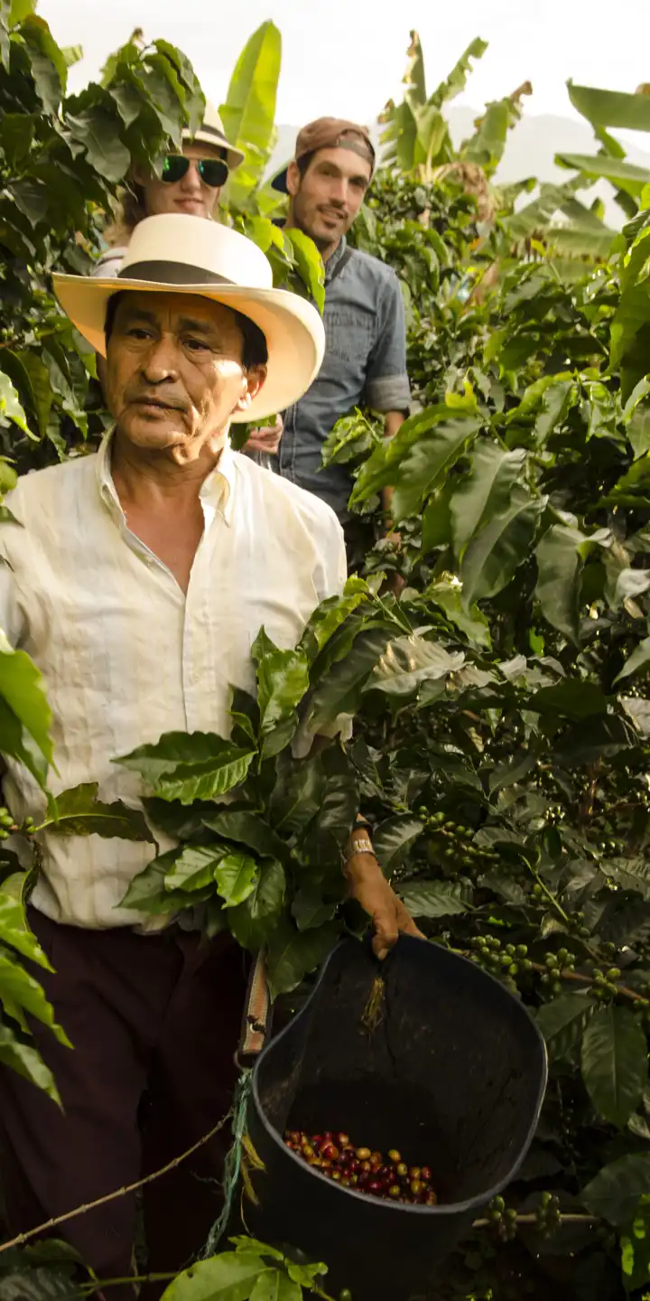 Colombian_Coffee