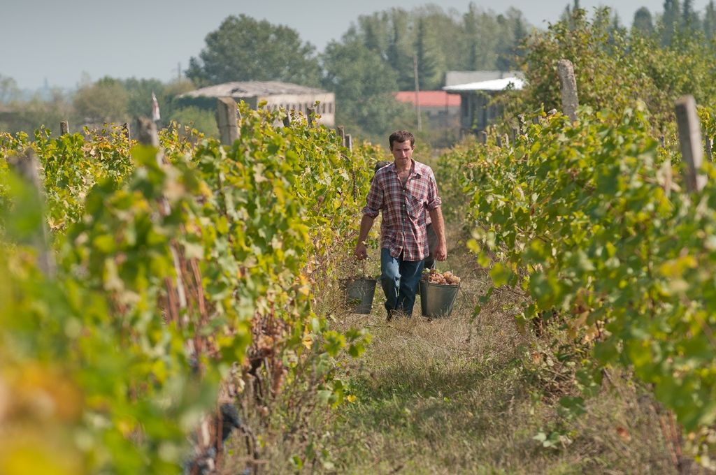 Georgia Travel Package - Pearl of the Caucasus