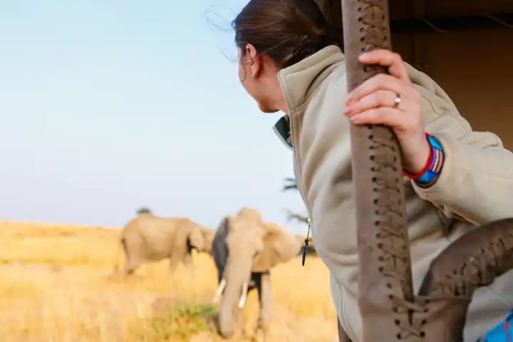 Safari