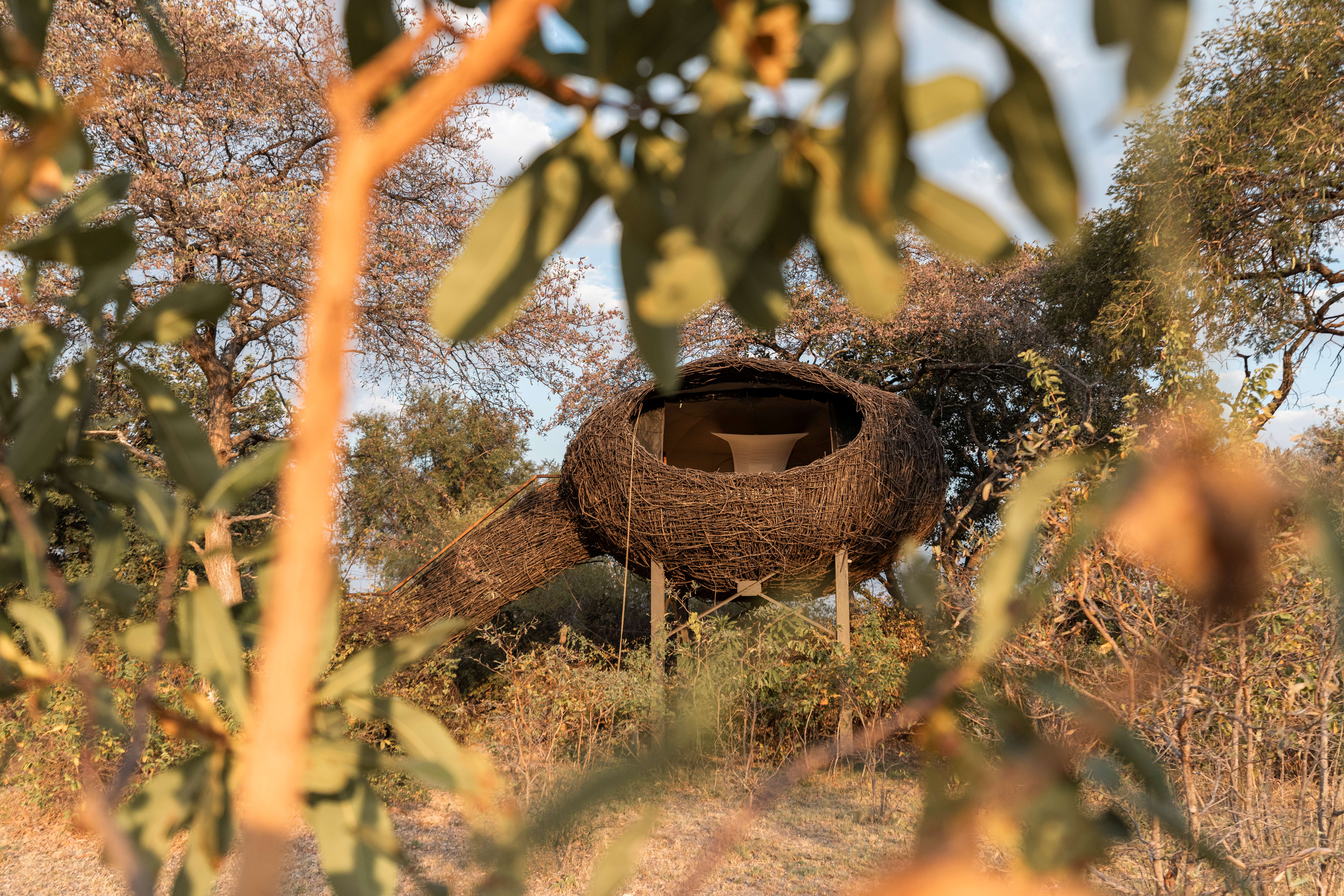 Chisa Busanga Camp