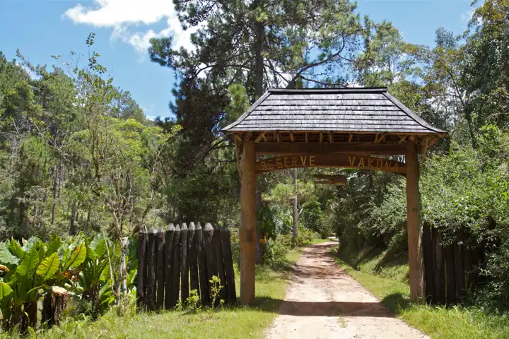 Vakona Forest Lodge