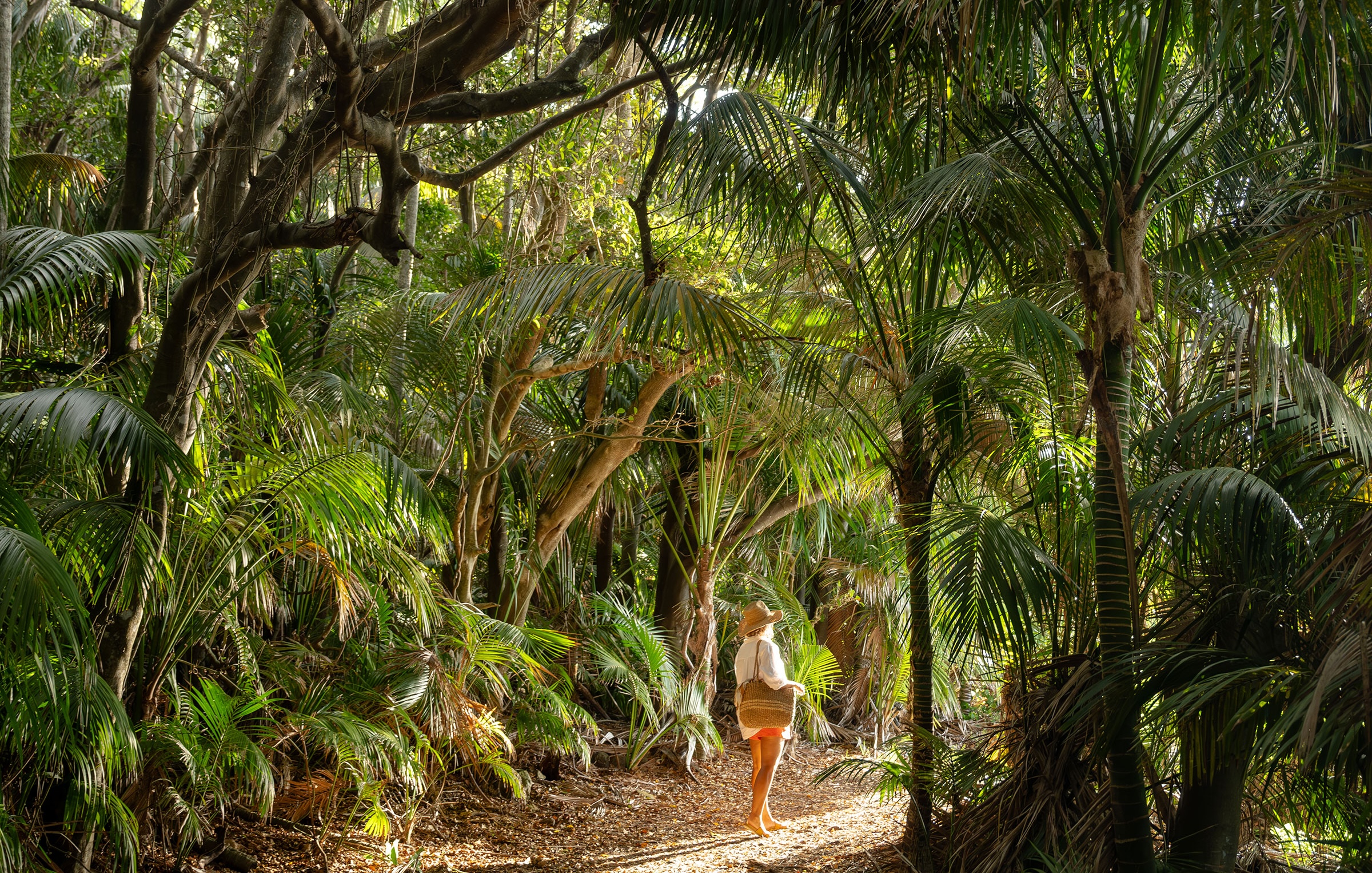 Lord Howe Island