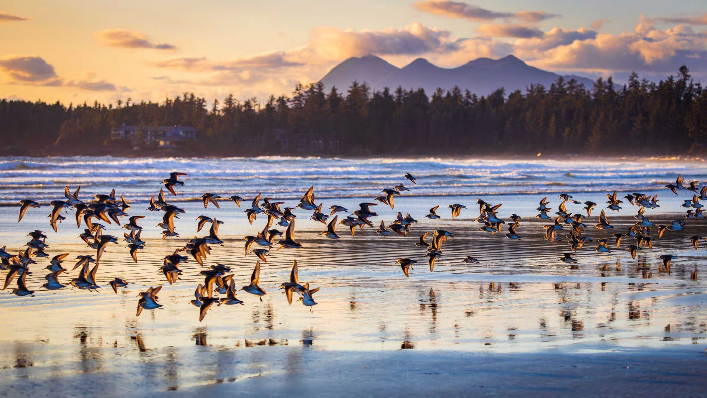 British Columbia Tour HERO