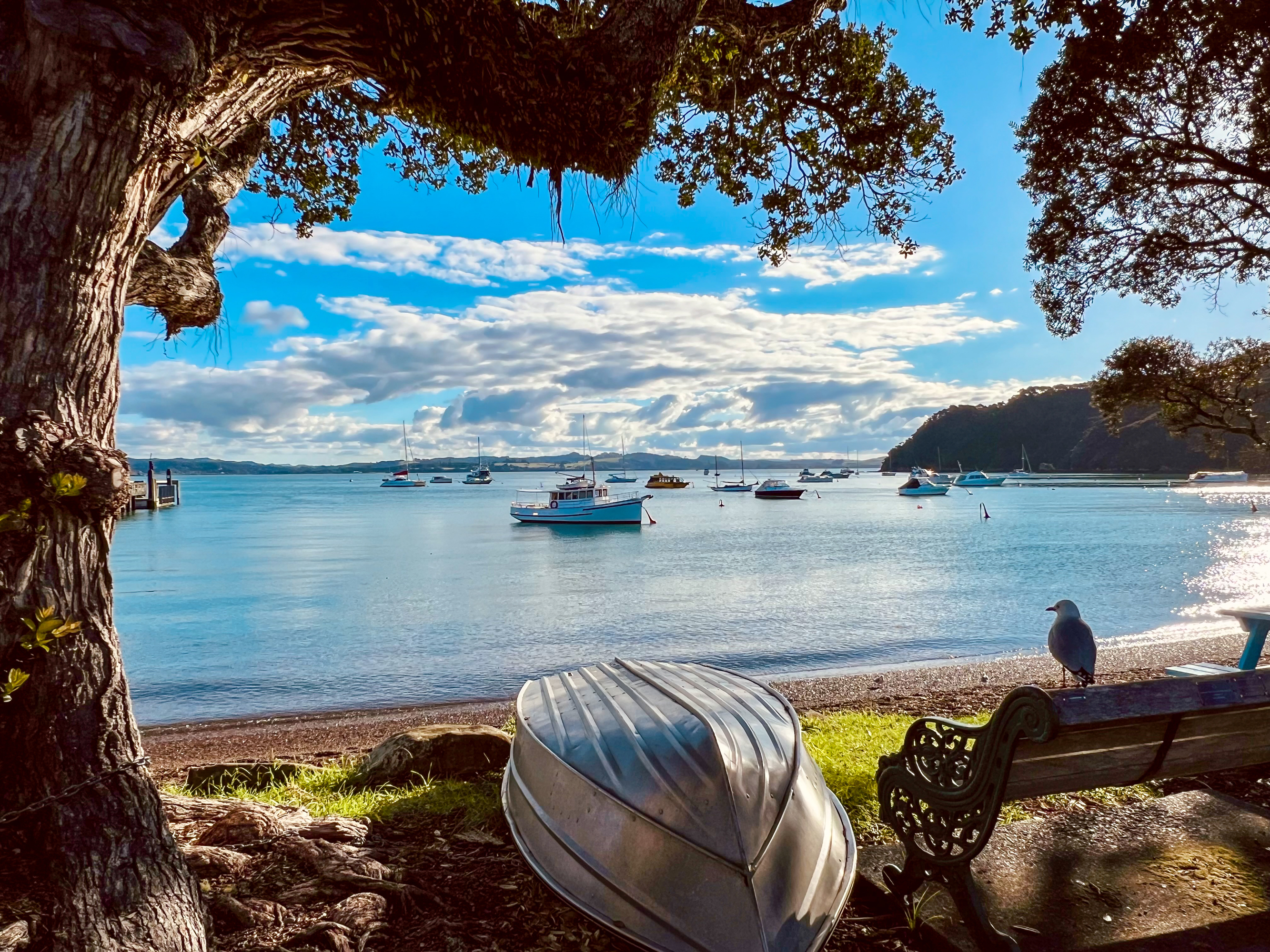 Best Time to Travel to New Zealand - Bay of Islands Summer Boats - Ker & Downey World Travel