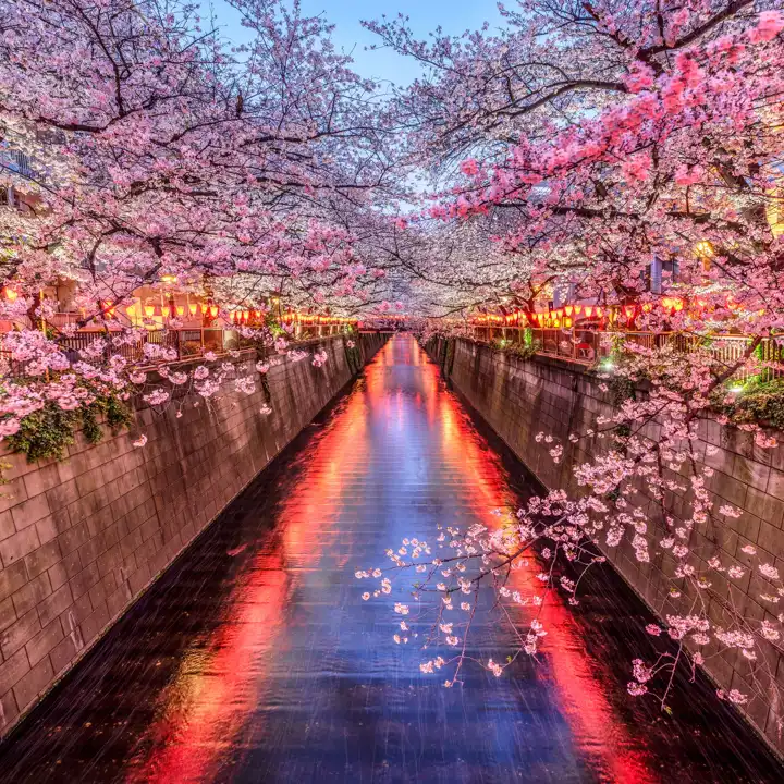 Istock