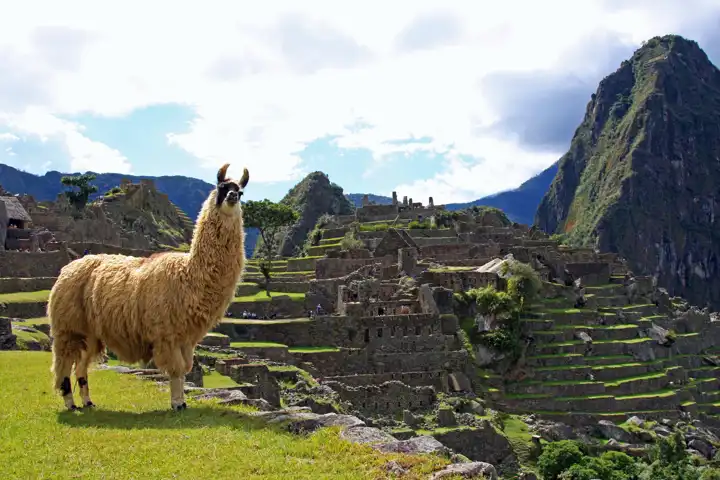Best Of Peru FEATURE