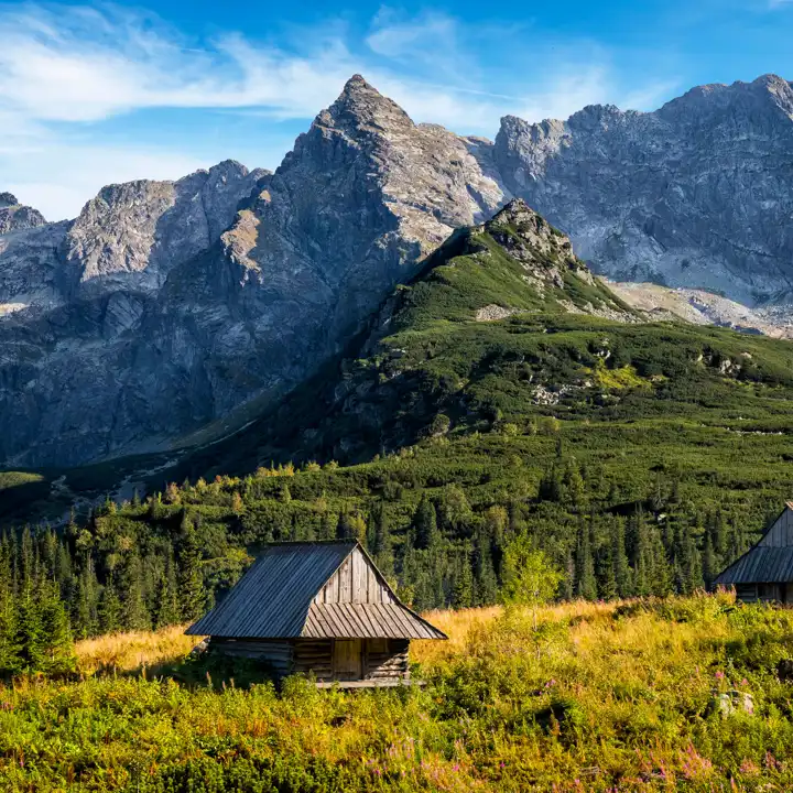 Istock