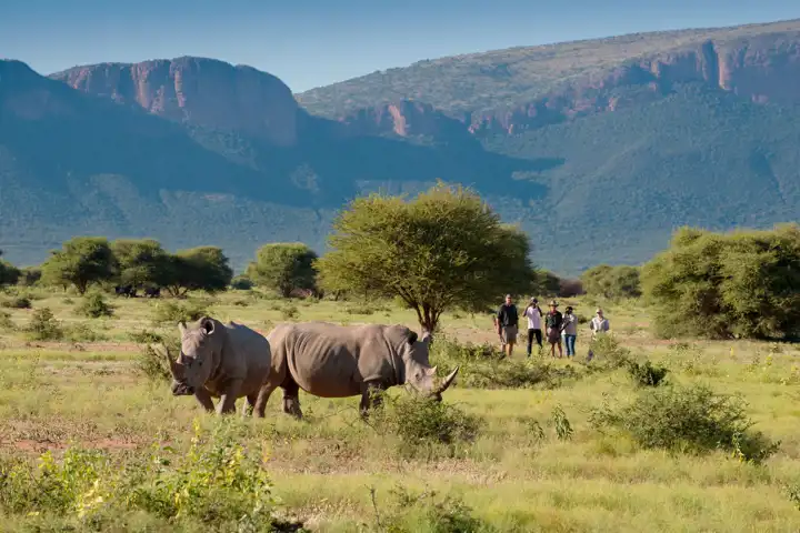A South Africa Safari HERO Marataba