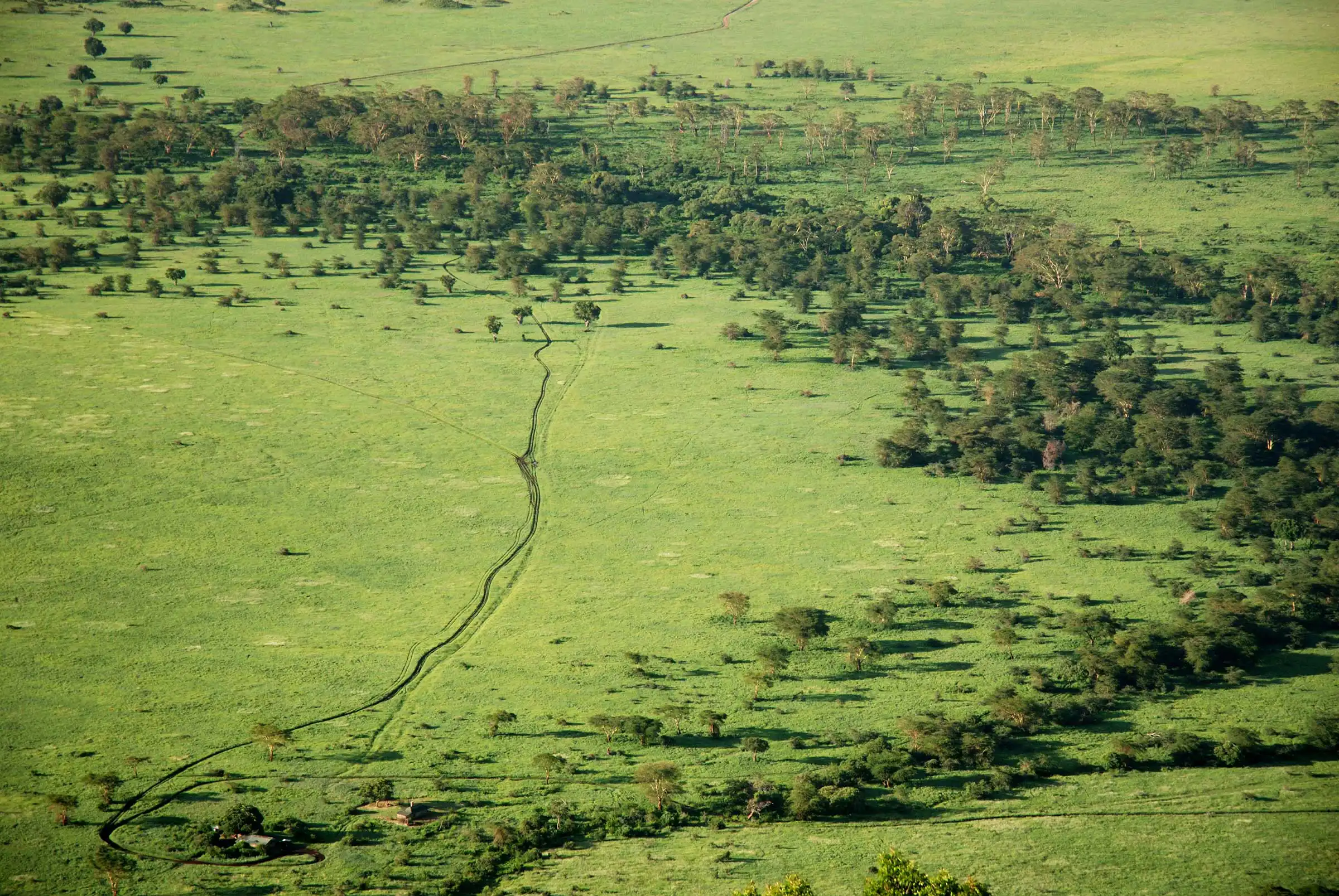 search image 2 Shoulder season Tanzania safari 2