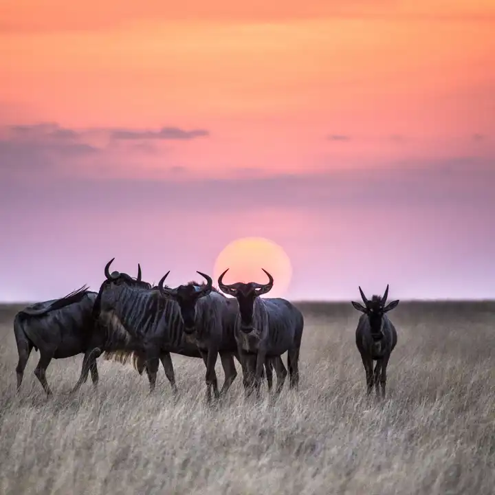 Oldonyolodge