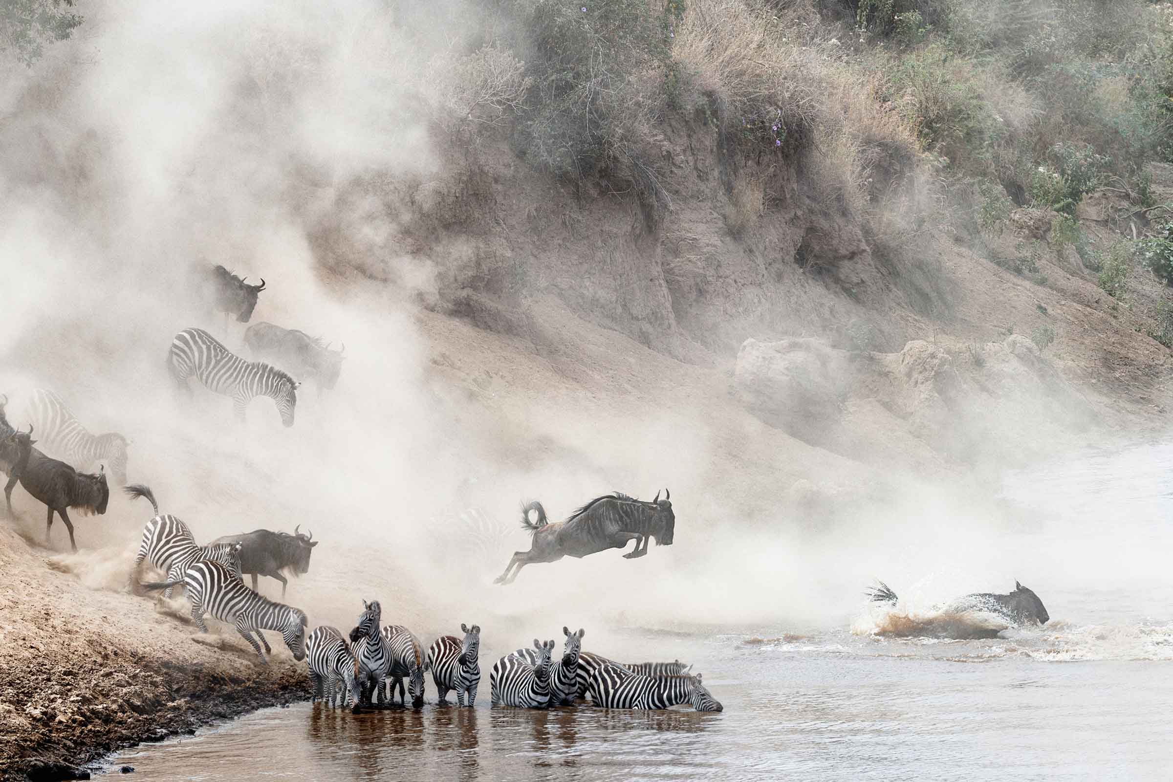 Mara river crossing - Kenya luxury safari