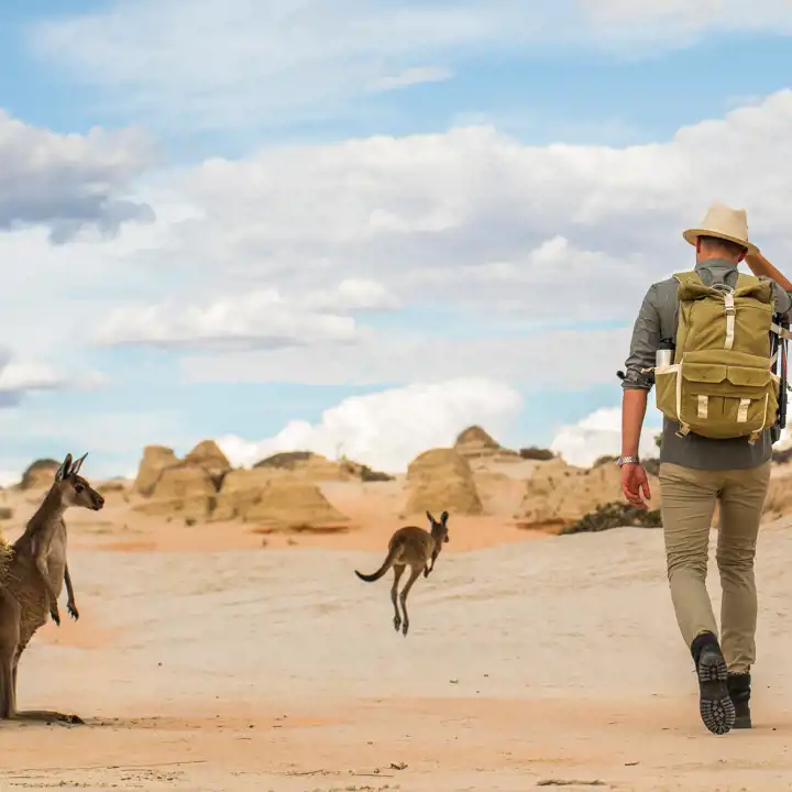 Australia_Outback_Wildlife