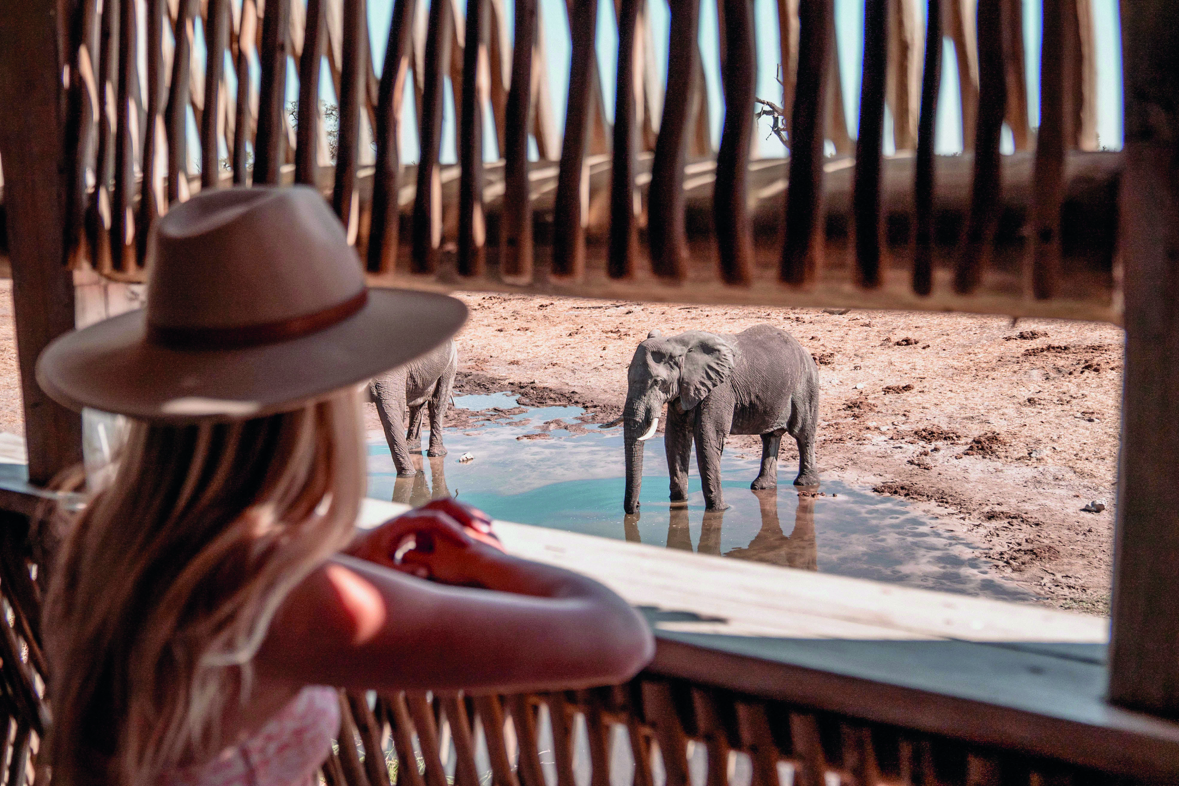 Belmond_Elephant_Lodge