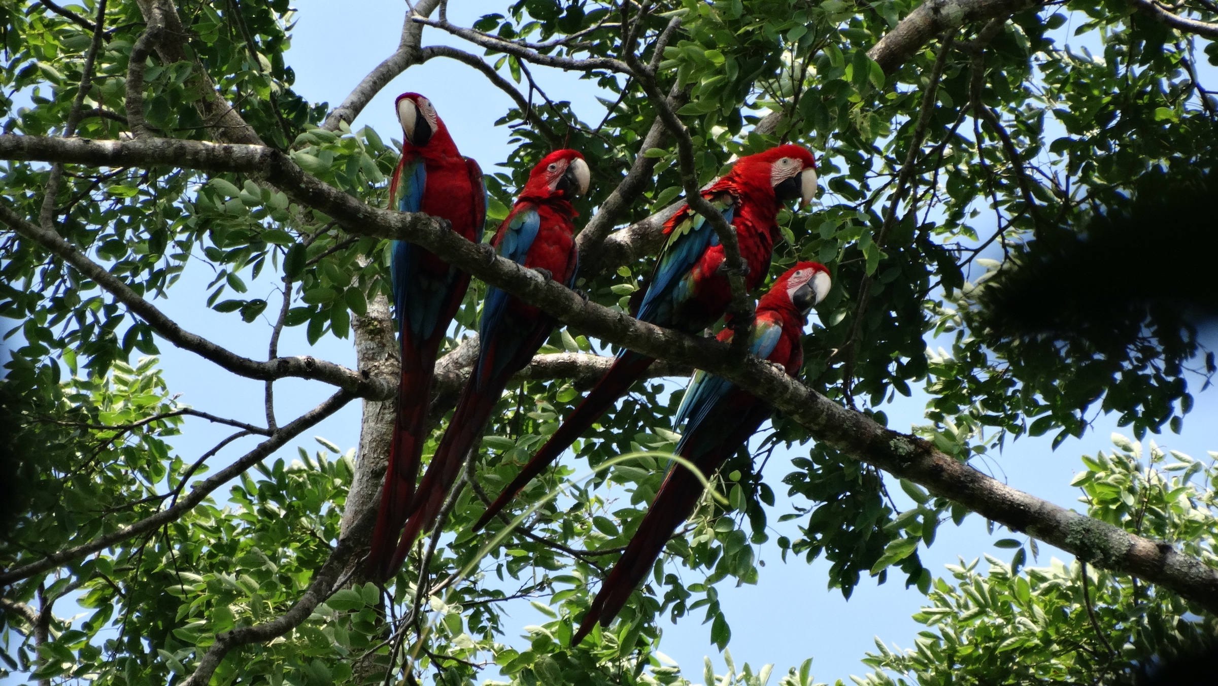 Best of Guyana - Guyana Private Tour - Ker & Downey