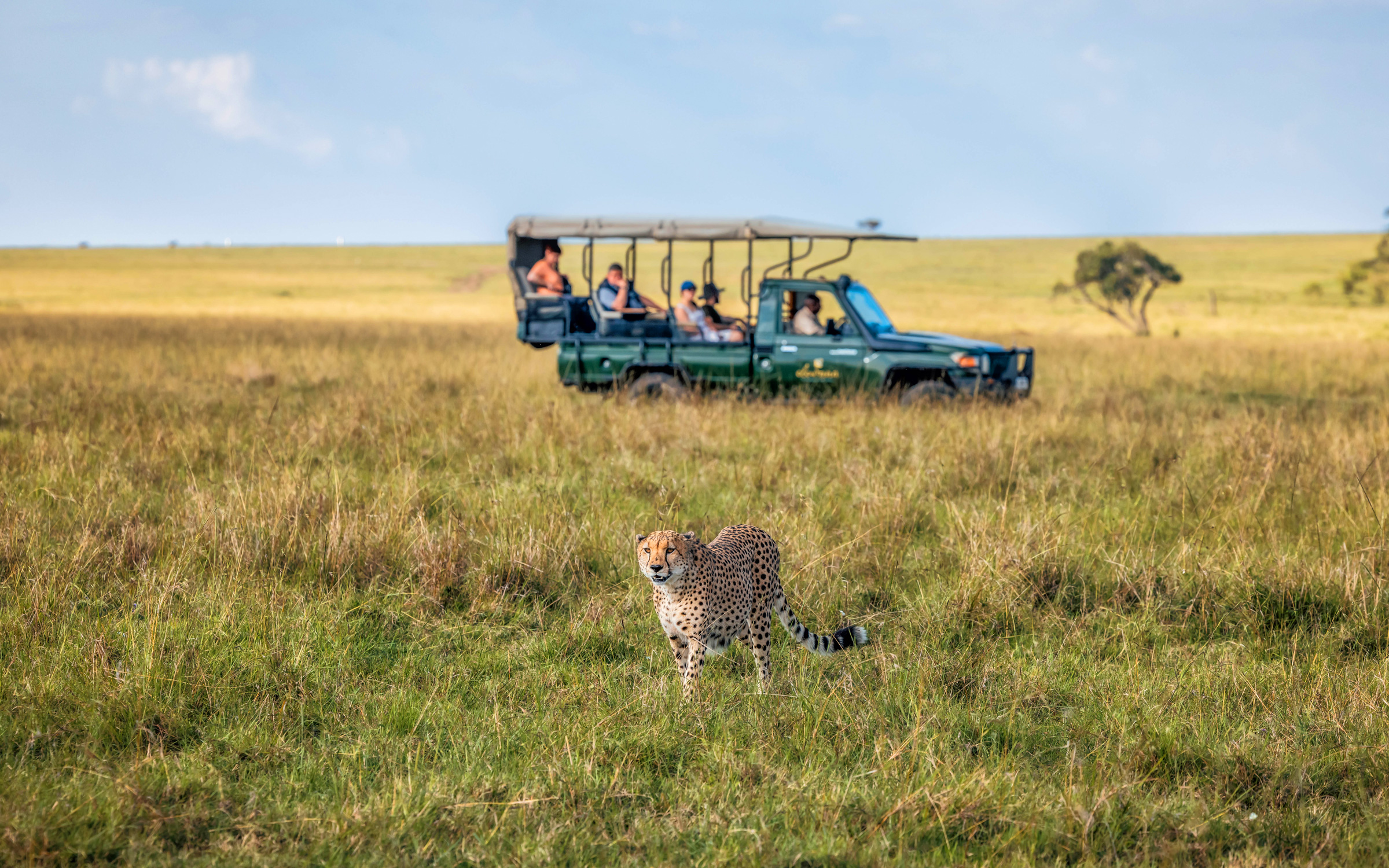 The Mara Safari HERO Elewana Elephant Pepper Camp
