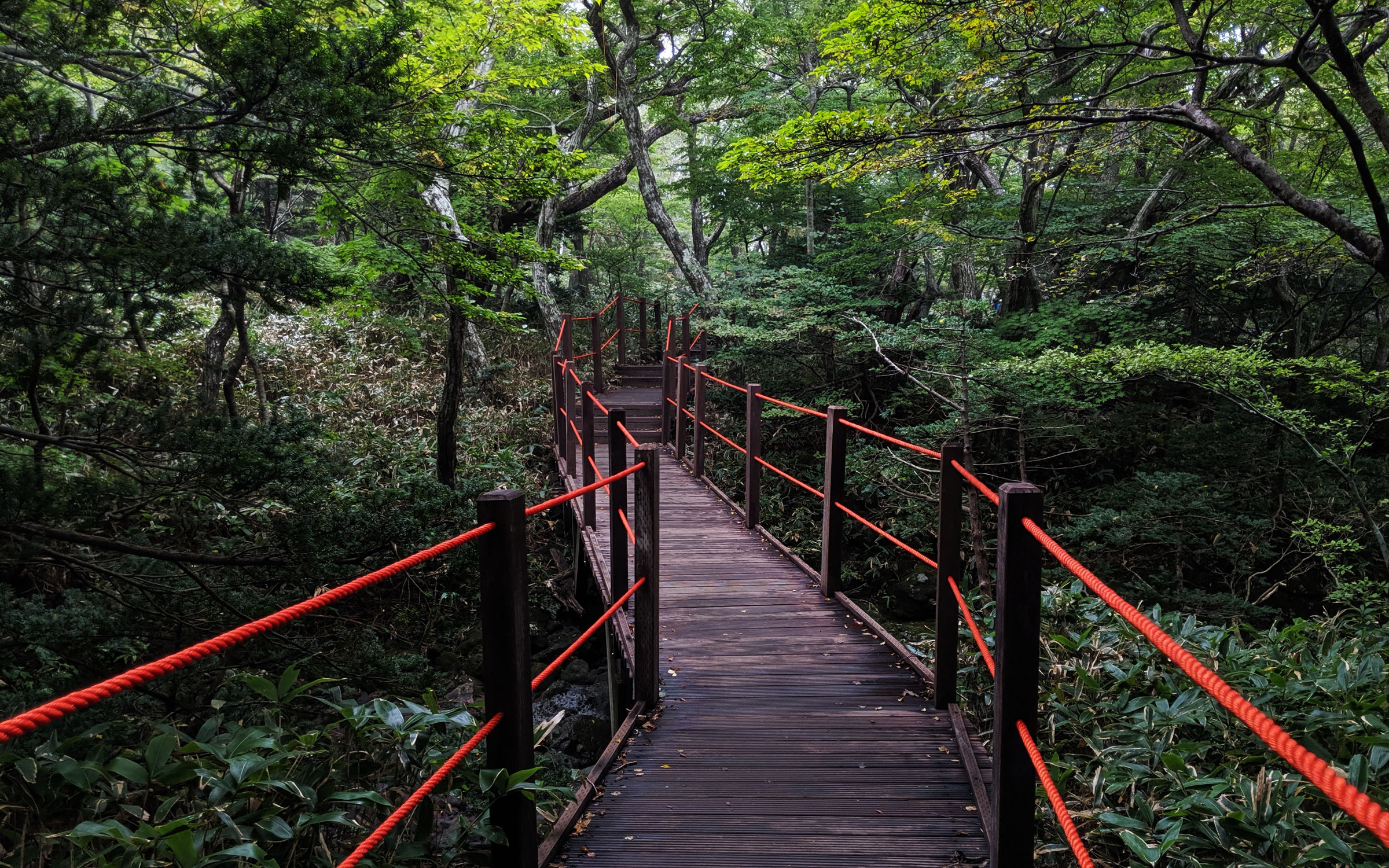 Korean Wellness Retreat HERO