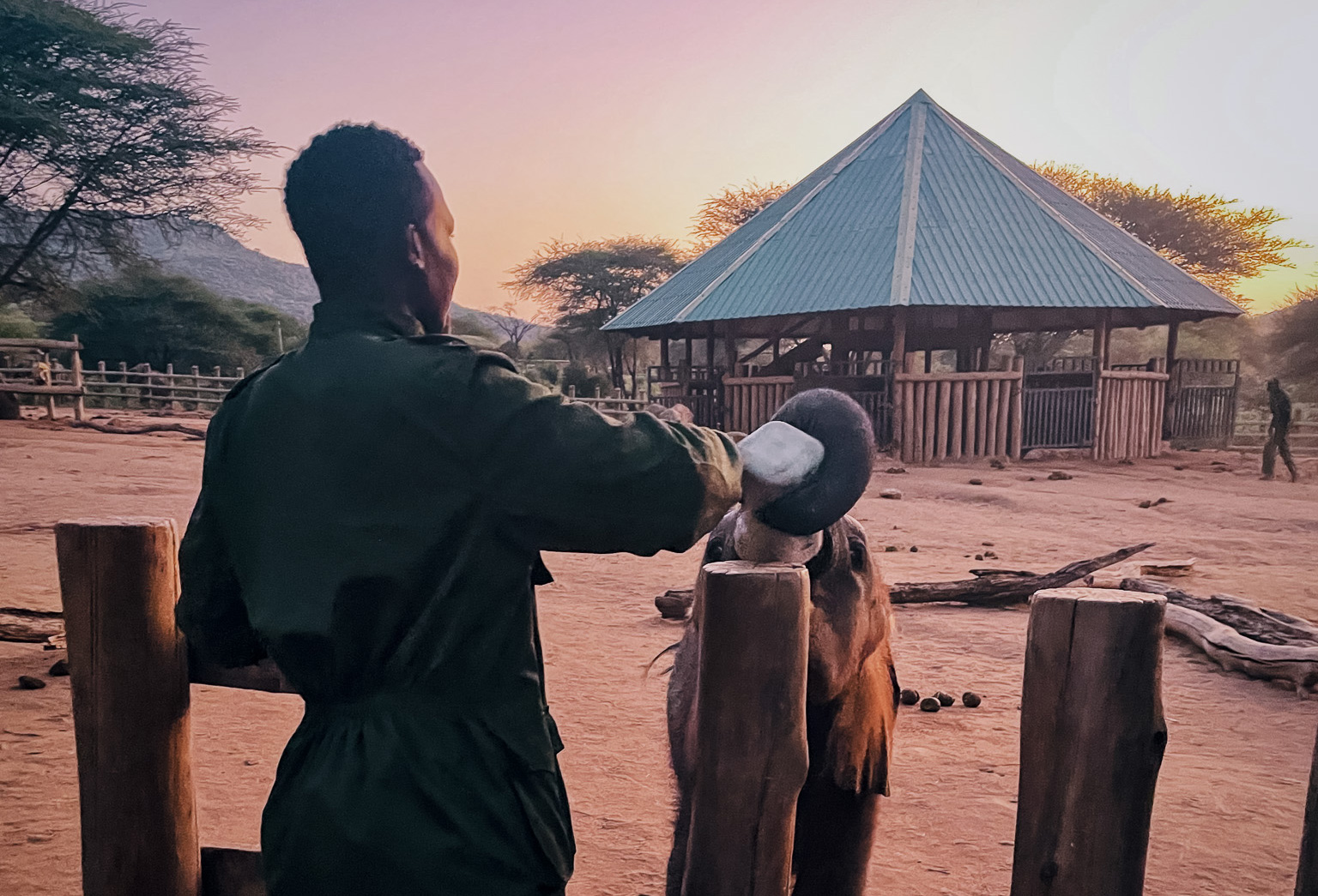 Reteti Elephant Sactuary_Amy Willis