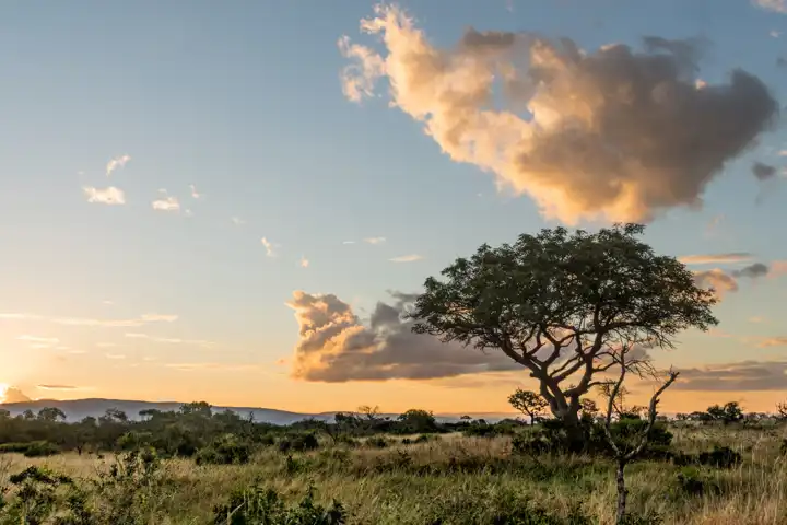 Ugandasafari (11)