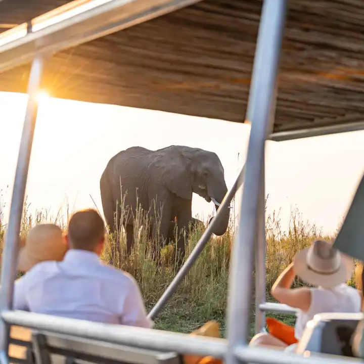 Wild Southern Africa FEATURE Chobe Water Villas