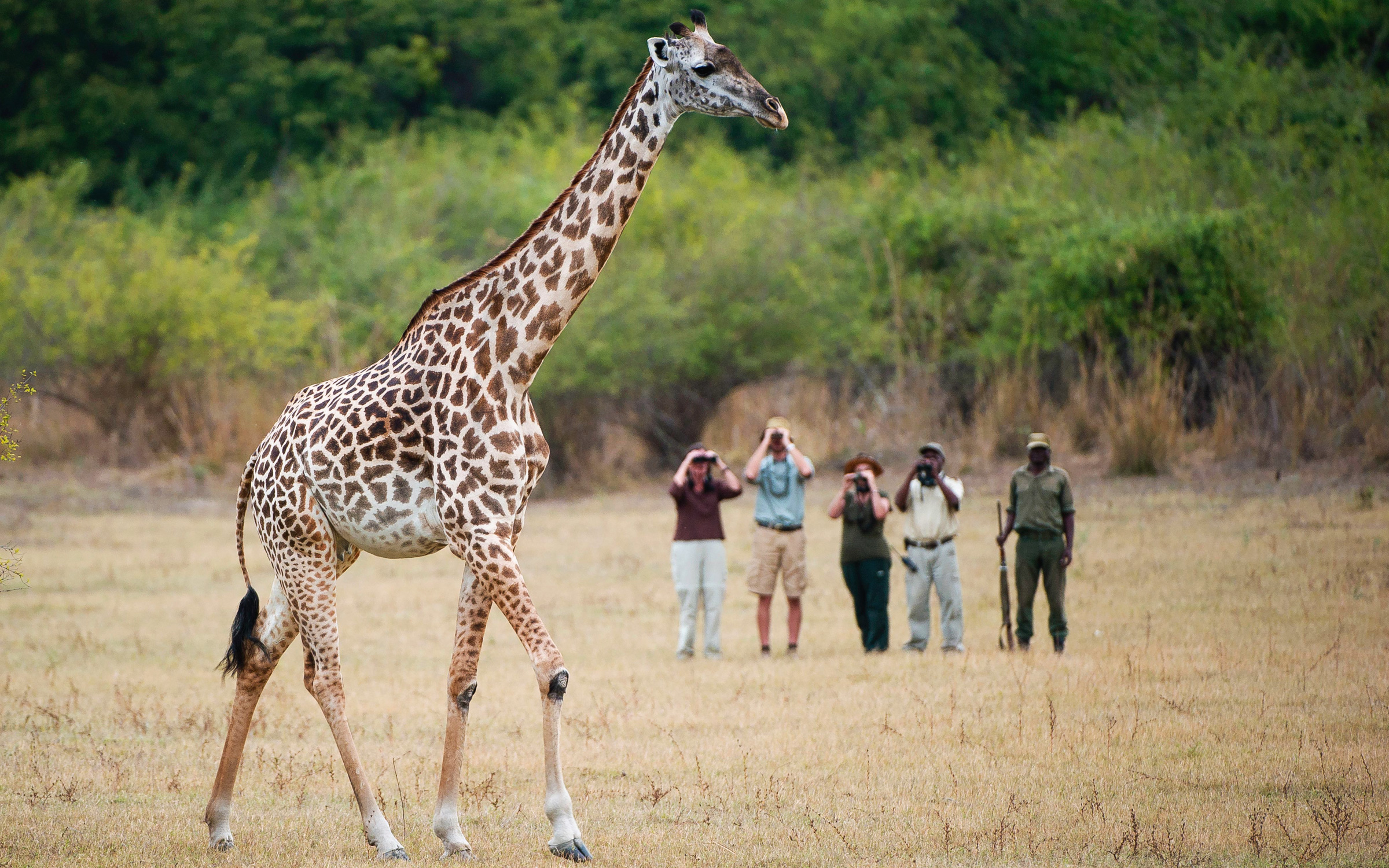 A Classic Walking Safari In Zambia HERO Thebushcampcompany