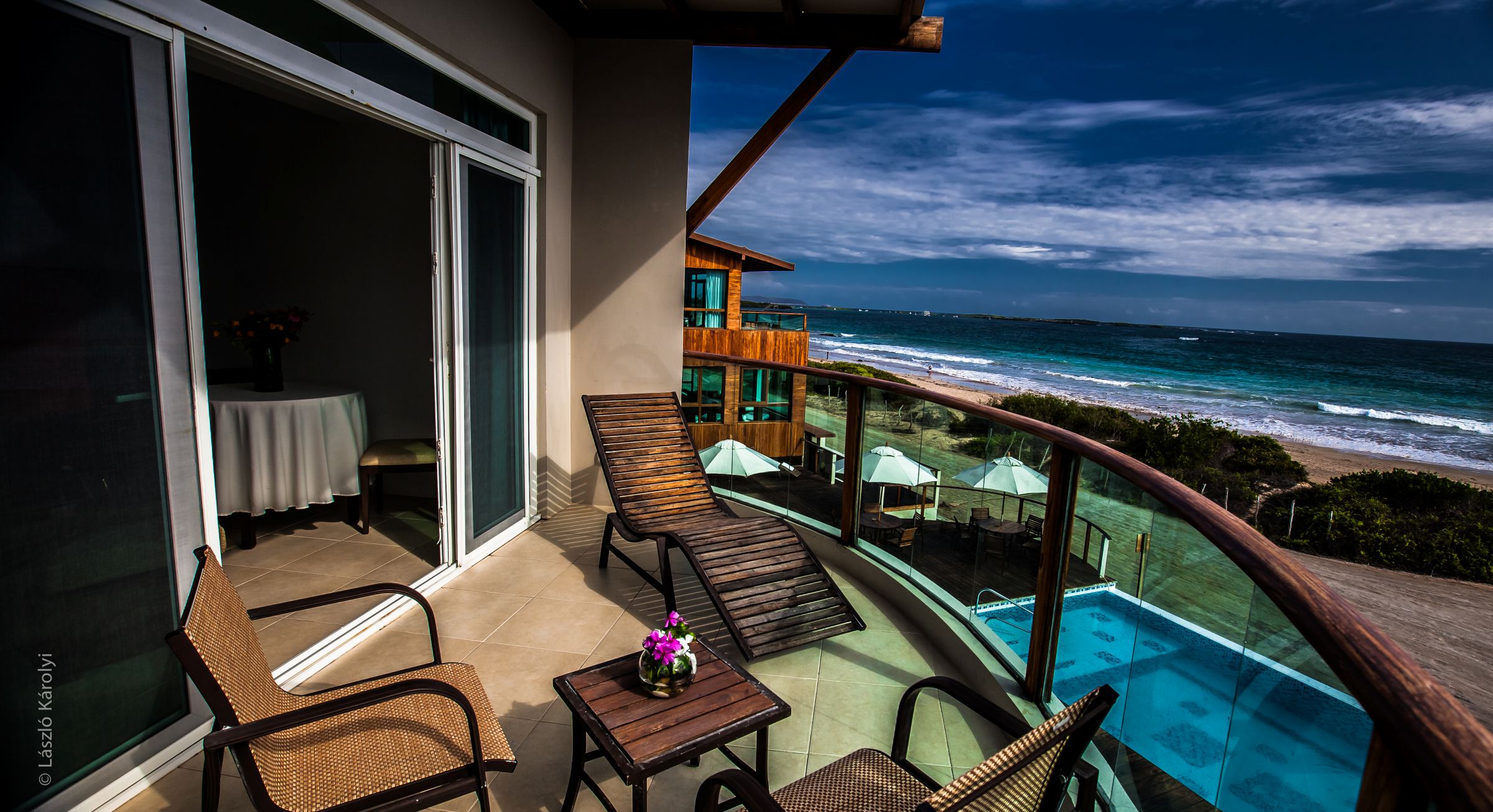 Galapagos Iguana Crossing