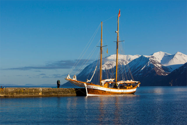 Whale Watching Iceland - Luxury Iceland - Ker & Downey