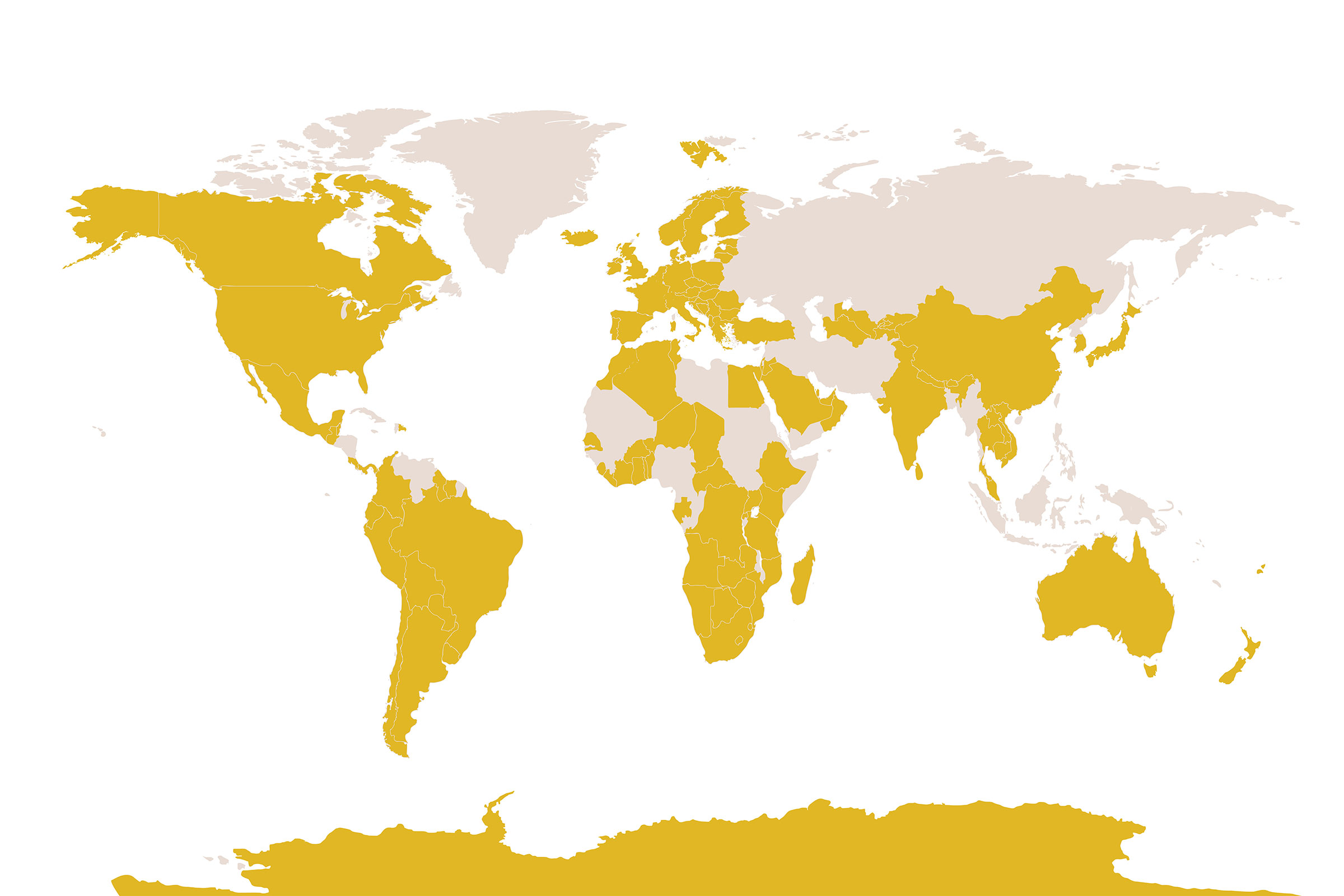 where clients traveled in 2025 - 2026 travel trends