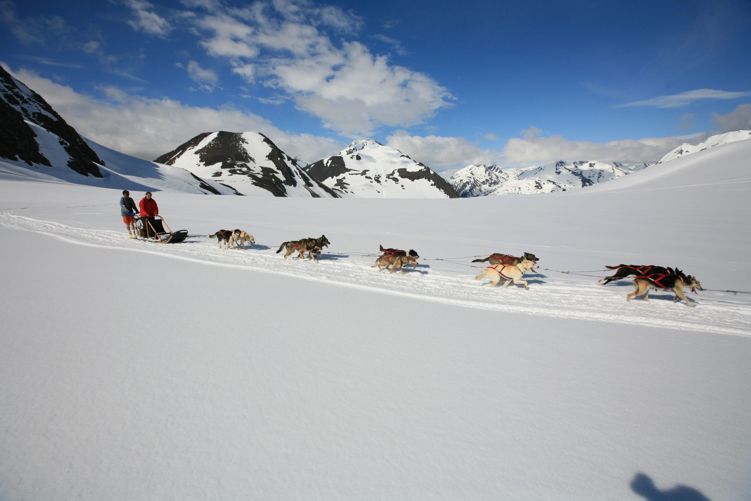 Luxury Alaska Tour Dog Sledding In Juneau