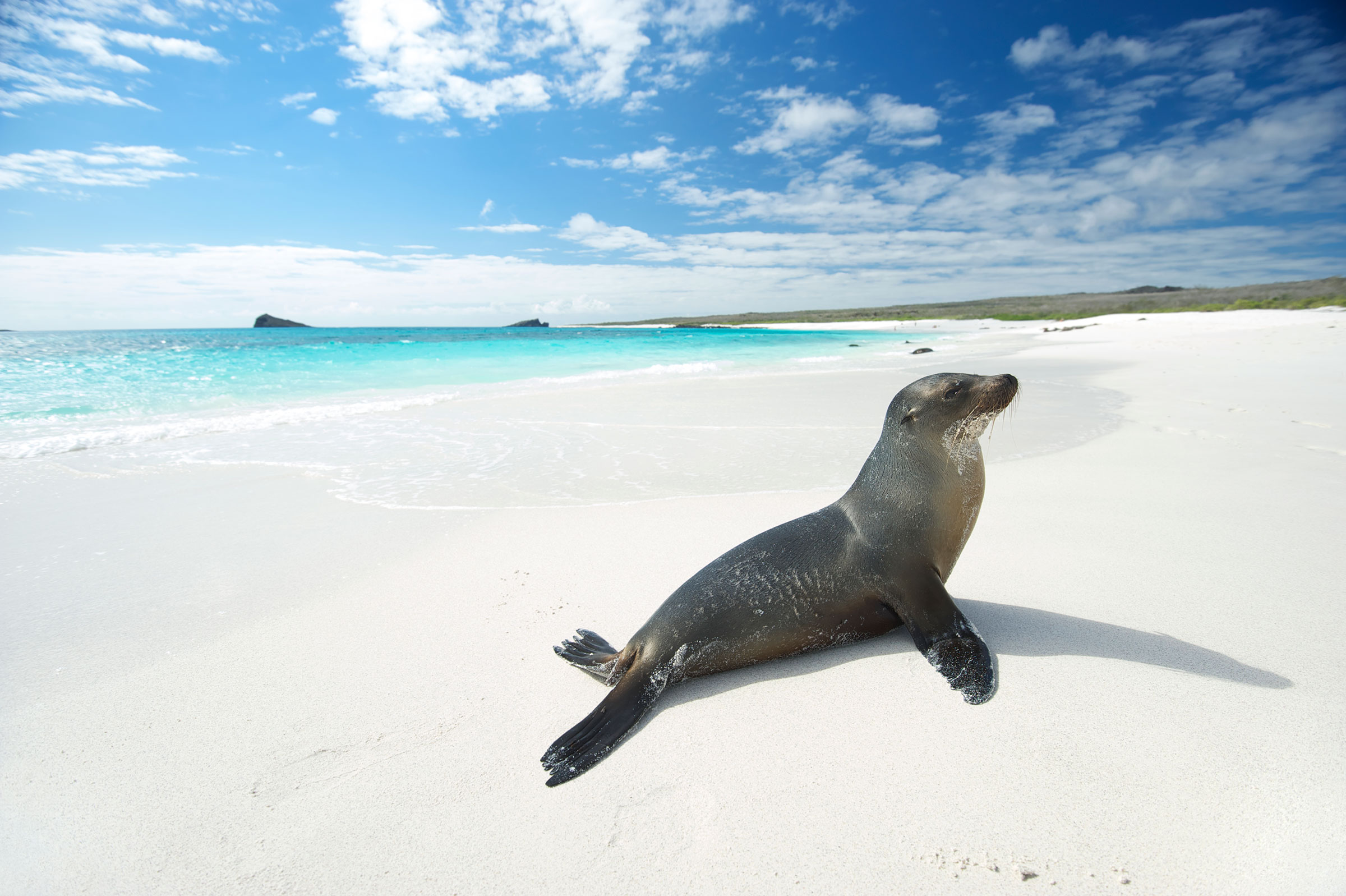 Galapagos Islands Travel Guide