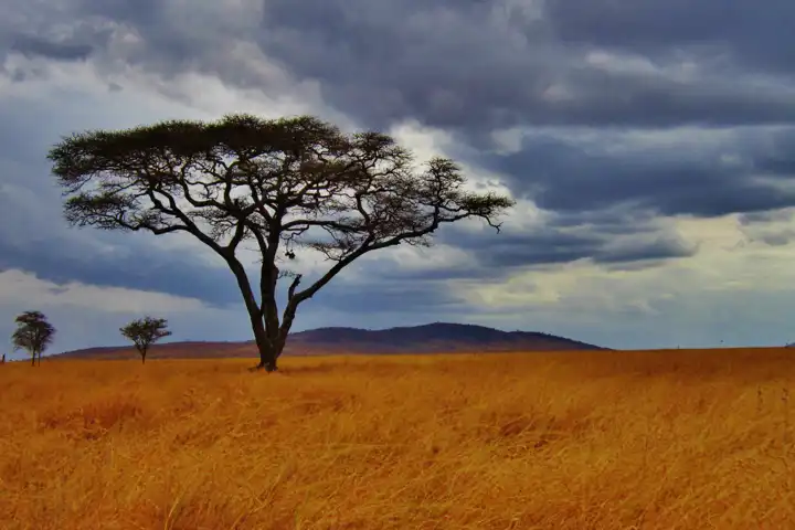 Ugandasafari (13)