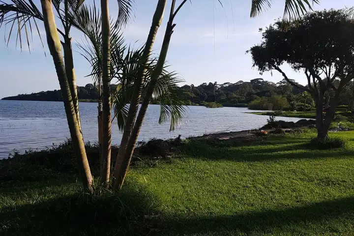 Ugandasafari (8)