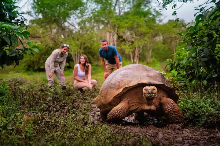 Galapagos Island Hopping FEATURE Finch Bay