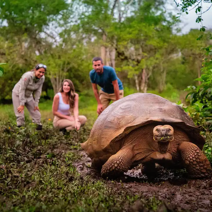 Galapagos Island Hopping FEATURE Finch Bay