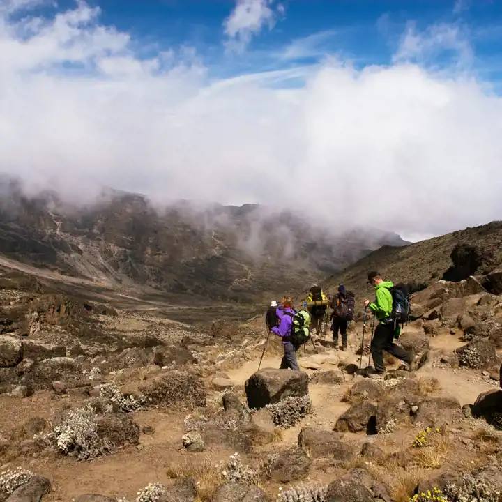 Kilimanjaro_Climb