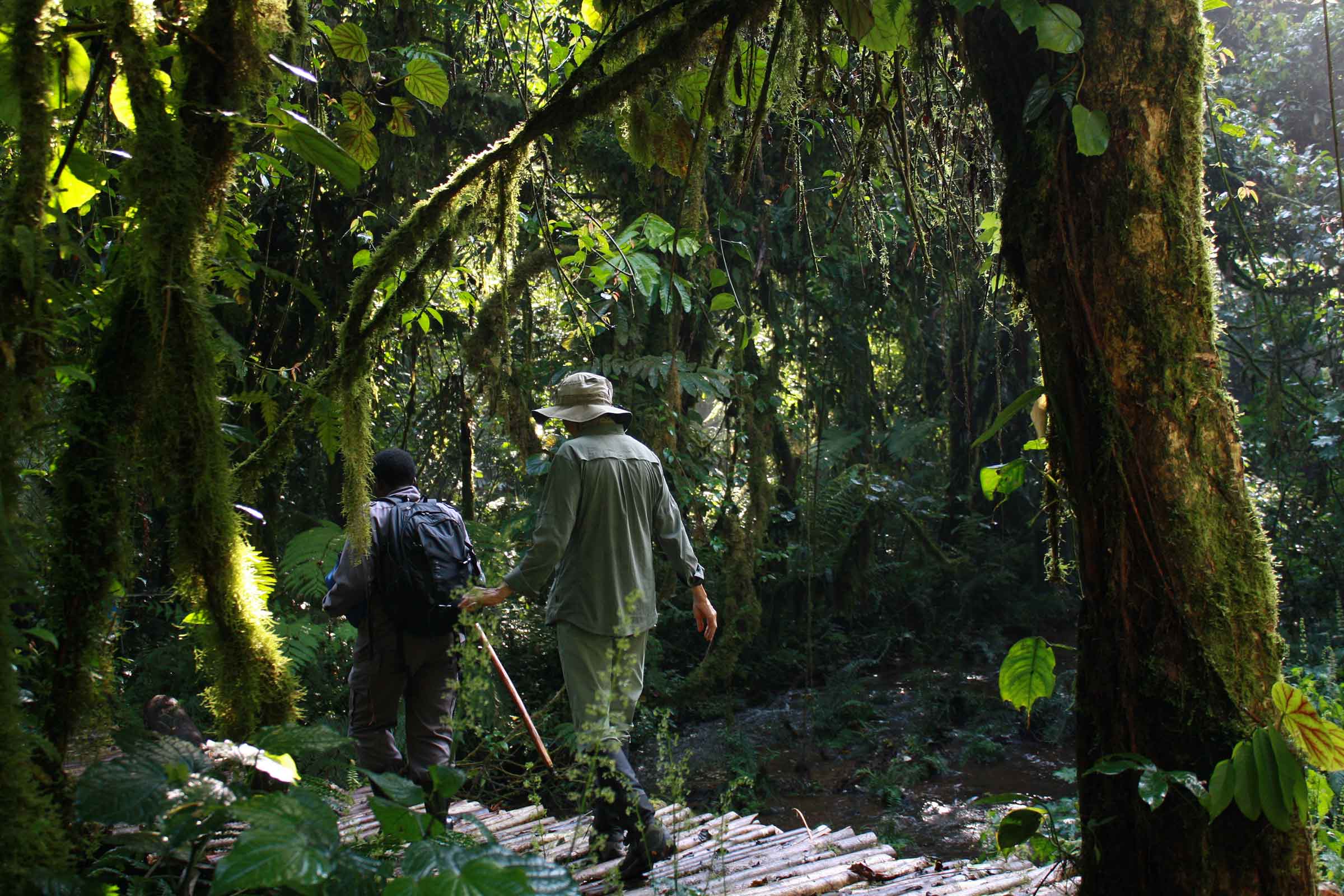 hiking in Bwindi - Primate tracking packing list - rwanda, uganda packing list