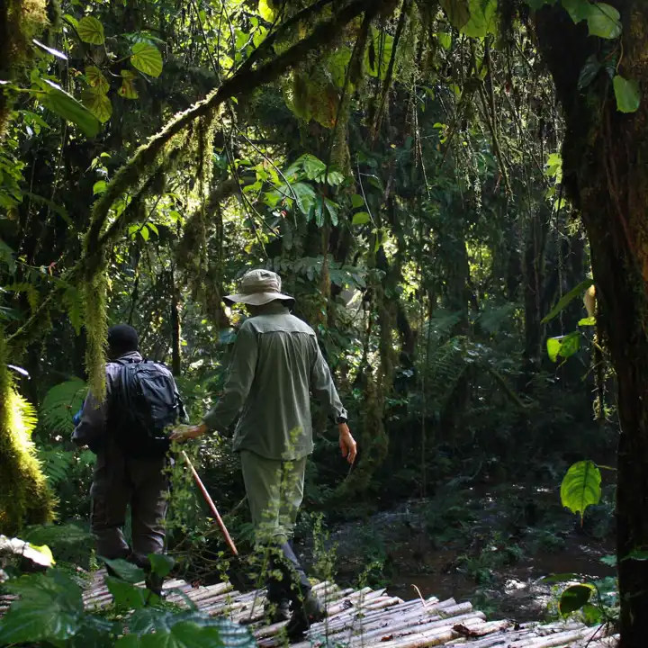 Hiking Bwindi Primate Tracking Packing List Africa
