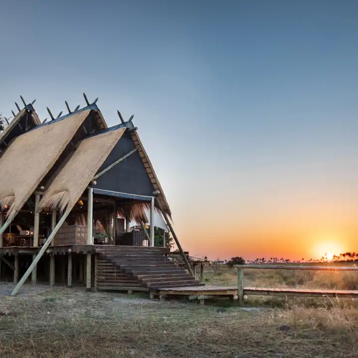 Botswana Selinda Camp Andrew Howard
