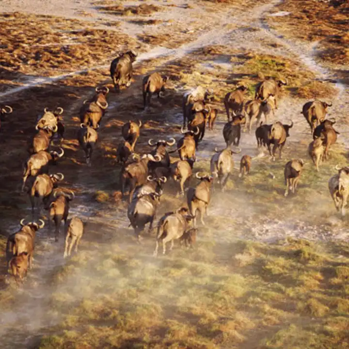 Best Places To Travel In July Tanzania Ker Downey