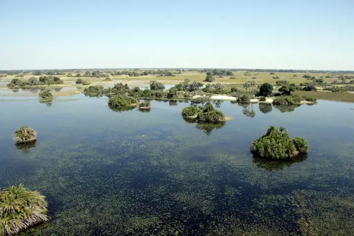 Okavango Delta Safari In Botswana Ker & Downey